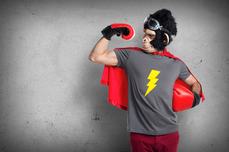 Strong superhero monkey manの写真素材