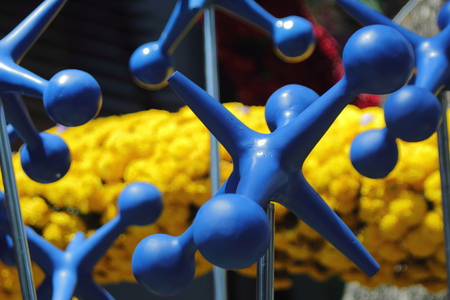 Matatena chips in festival of flowers 2018の写真素材