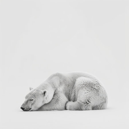 A large polar bear is standing on a chunk of ice in this black and white photograph. The bears thick fur, sharp claws, and powerful stature are visible as it gases into the distance.の素材