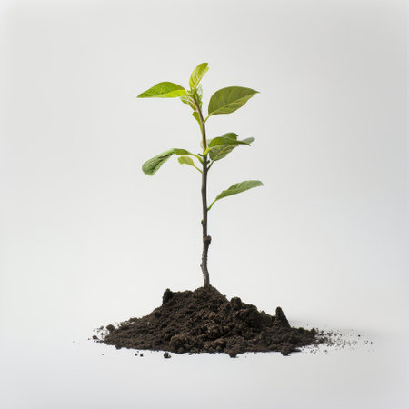 A young, small tree is growing out of a mound of dark brown dirt. The trees roots are visibly intertwined within the soil, showing the resilience and tenacity of nature in reclaiming spaces.の素材