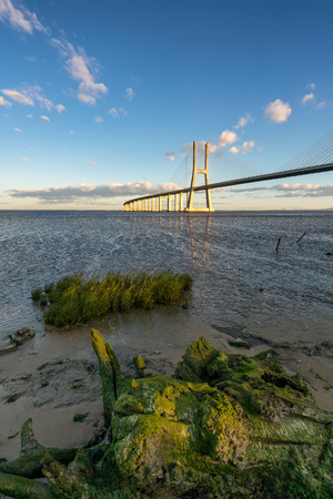 Ponte Vasco da Gama Bridge view near the Rio Tejo river at sunsetの写真素材