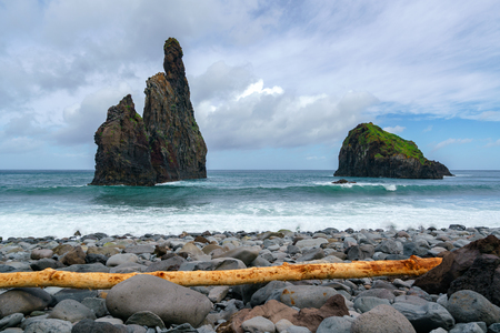 Janela Islets in Porto Moniz in Madeira with a yellow tree on the groundの写真素材