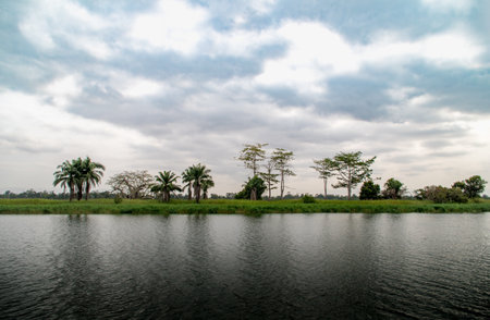 Tropical Kwanza Riverbank with Palms and Trees Under Cloudy Sky, Angolaの写真素材