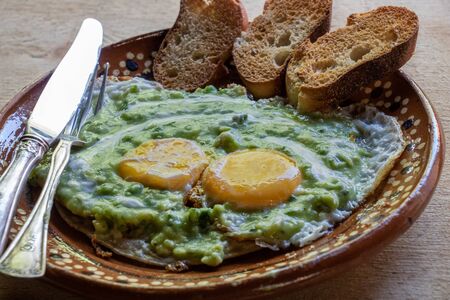 Traditional mexican breakfast eggs with green salsaの写真素材