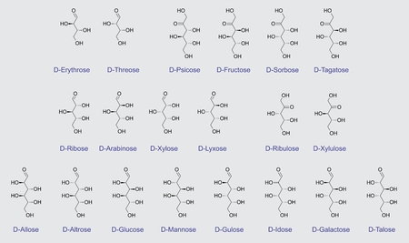 Set of structural formulas of various types of carbohydratesのイラスト素材