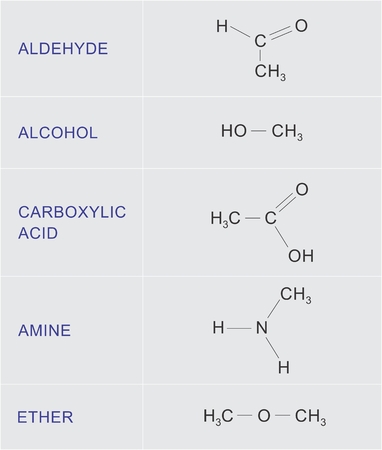 Illustration of a table with examples of organic chemical functions.のイラスト素材