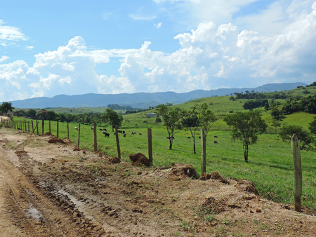 The landscape of farmsの写真素材