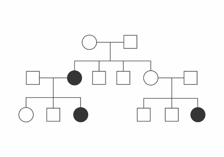 Simple illustration of a heredogram on white backgroundのイラスト素材