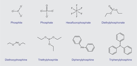 Illustration of a set of structural formulas of phosphorus compoundsのイラスト素材