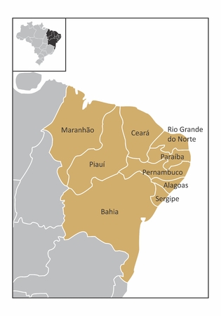 Map of the northeast region of Brazil with the identified statesのイラスト素材
