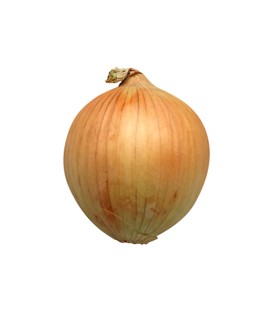 A single onion isolated on white backgroundの写真素材