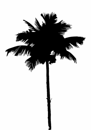 Palm tree silhouetteのイラスト素材