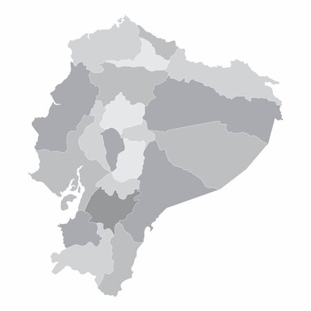 The Ecuador map divided into regions with grayscaleのイラスト素材