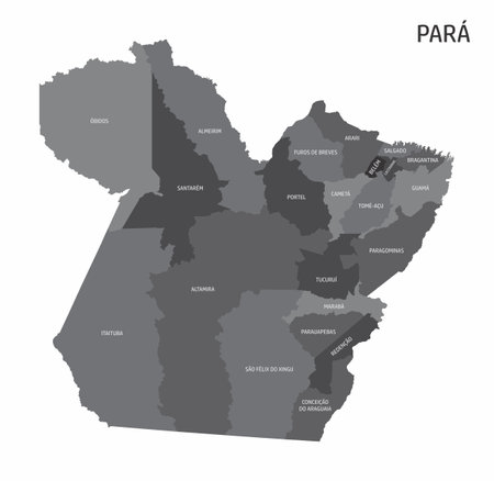 The Para State regions map with labels on white background, Brazilのイラスト素材
