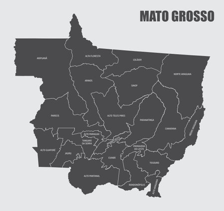 The Mato Grosso State map divided into regions with labels, Brazilのイラスト素材