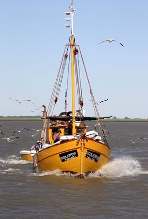 shrimp fishermen returning to their home port at Bahia Blanca - Argentina