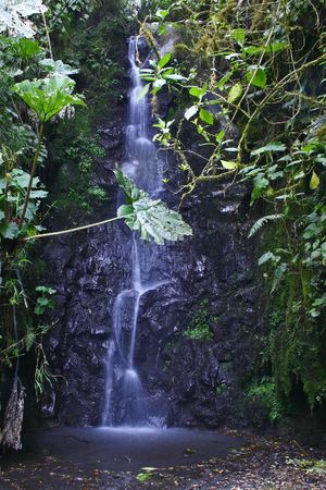 Cascade of Birris river - Costa Rica