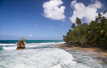 Waves, rocks, beach and palm trees in the southern Caribbean coast of Costa Ricaの写真素材