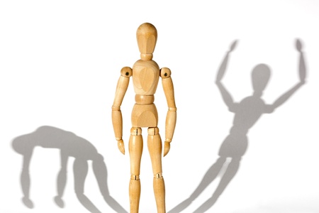 Conceptual representation of the bipolar disorder