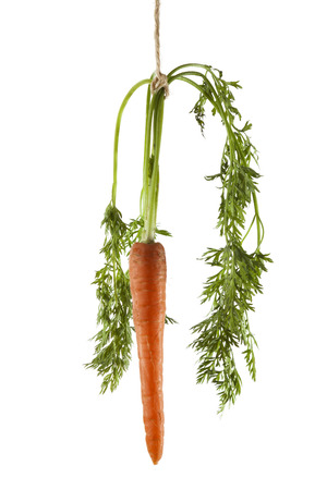 Carrot hanging on a string on a white background as a concept of motivationの写真素材
