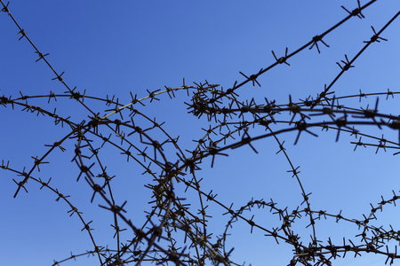 Curved barbed wire over a blue skyの写真素材