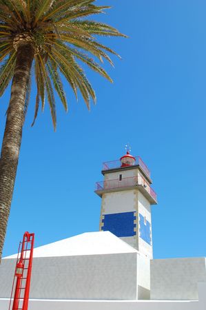 photo of a lighthouse in Cascais with a gorgeous palm tree, Portugalの写真素材