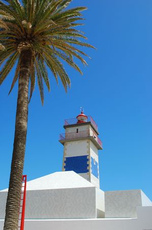 photo of a lighthouse in Cascais with a gorgeous palm tree, Portugalの写真素材