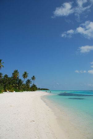 beautiful scene beach in a Maldivian Islandの写真素材
