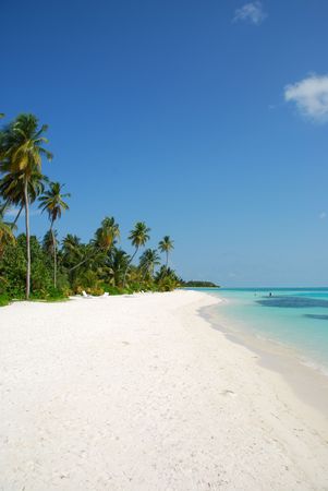 beautiful scene beach in a Maldivian Islandの写真素材
