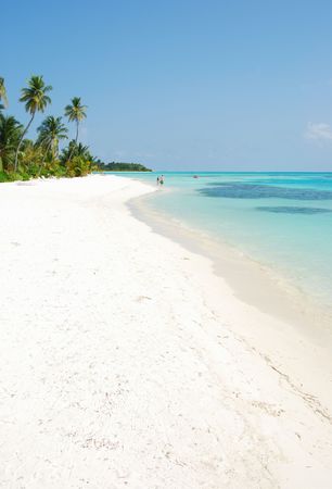beautiful scene beach in a Maldivian Islandの写真素材