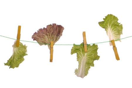 leaf of lettuce on rope as a diet or subnutrition concept (isolated on white background)の写真素材