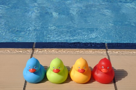 four colorful rubber ducks at the pool side (kids toy)の写真素材