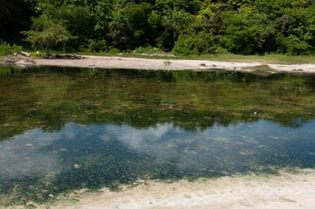 tropical green lake next to a sandy beach, Antiguaの写真素材