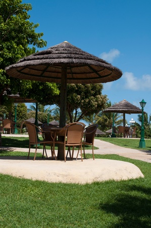 straw umbrella and chairs in a tropical resort (next to the swimming pool)の写真素材