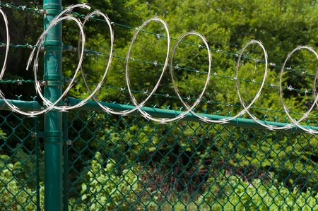 barbed wire and circular razor wire on a green fence (tropical nature background)の写真素材