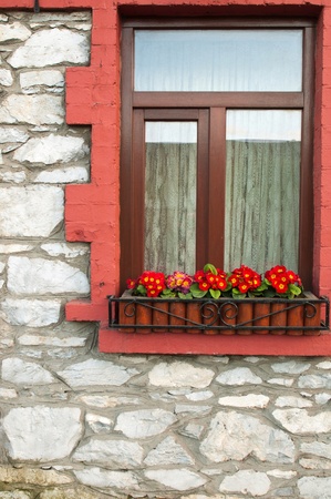 irish window with gorgeous primula piano flowersの写真素材