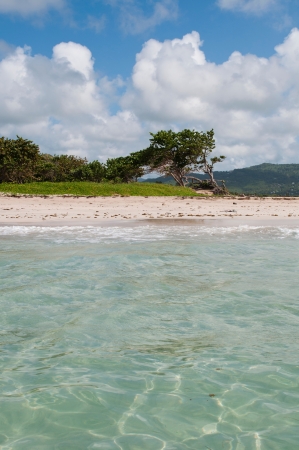 deserted sandy beach at Vieux Fort, Saint Lucia (ocean view)の写真素材