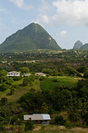 view of the famous Pitons in Saint Lucia, Caribbean (over 700m high)の写真素材