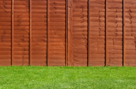 gorgeous backyard garden with green grass and wooden fenceの写真素材