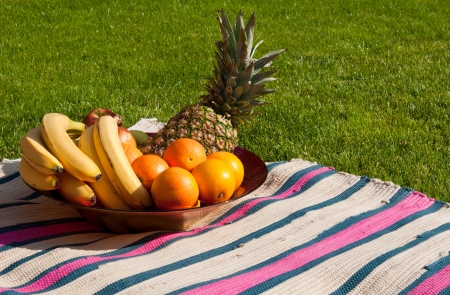 fruit bowl with apples, bananas, oranges and pineapple on a colorful picnic blanket  grass field background の写真素材