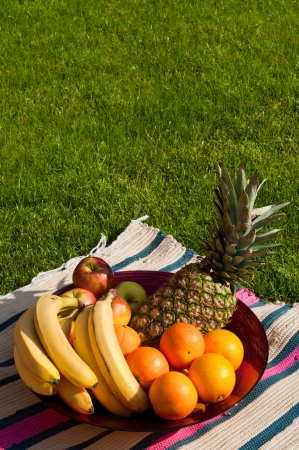 fruit bowl with apples, bananas, oranges and pineapple on a colorful picnic blanket  grass field background の写真素材