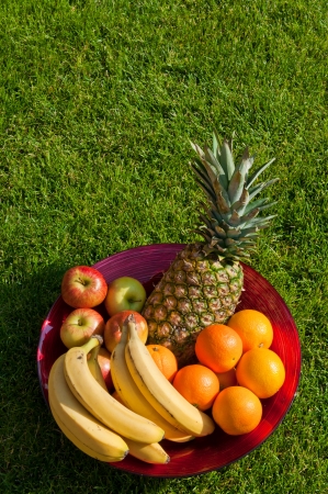 fruit bowl with apples, bananas, oranges and pineapple on the grass fieldの写真素材
