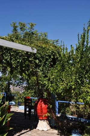 colorful and typical greek taverna scene in Zia (Kos island), Greeceの写真素材