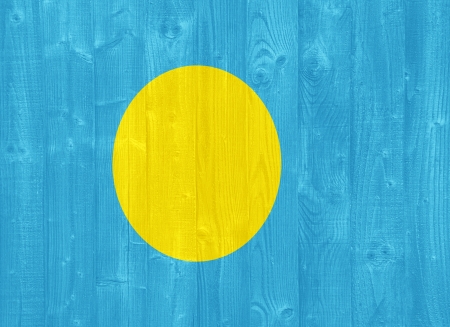 gorgeous Palau flag painted on a wood plank textureの写真素材