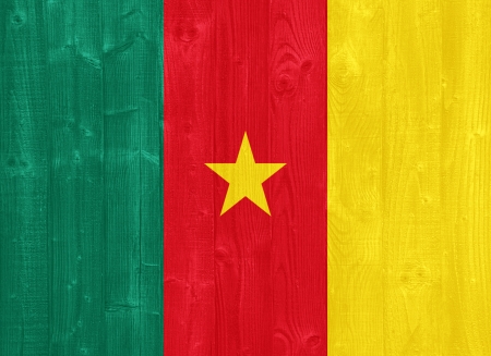 gorgeous Cameroon flag painted on a wood plank textureの写真素材