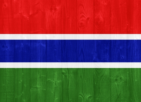 gorgeous The Gambia flag painted on a wood plank textureの写真素材