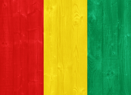 gorgeous Guinea flag painted on a wood plank textureの写真素材