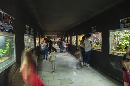 SAFARI MADRID, ALDEA DEL FRESNO, SPAIN - OCTOBER 20, 2019:   Safari Madrid Zoo. Terrarium reptile room with visitors watching the animalsのeditorial素材