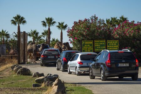 SAFARI MADRID, ALDEA DEL FRESNO, SPAIN - OCTOBER 20, 2019: Entrance to the Safari Madrid zoo. Animals in semi-freedom in huge enclosures where visitors enter their vehicles.のeditorial素材
