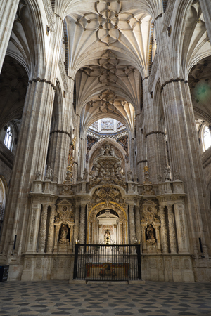 Inside of the New Cathedral of Salamanca in Spain, a mixture of Gothic, Renaissance and Baroque styles. 16th to 18th centuriesのeditorial素材